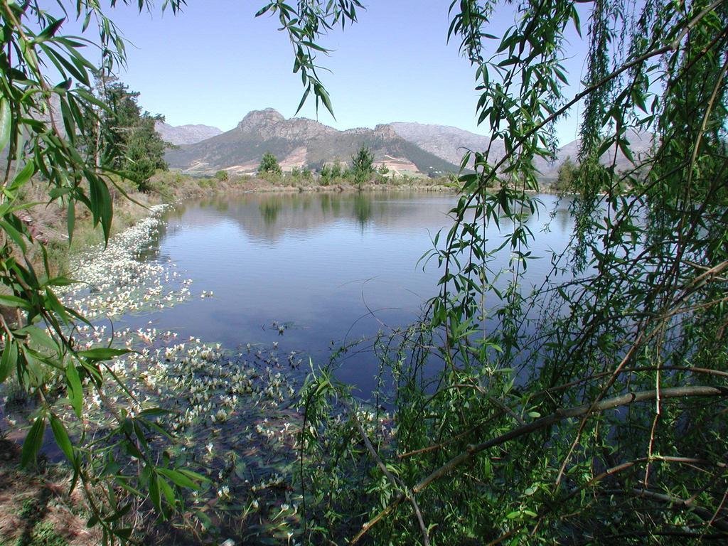 La Verdure Fruit Farm Franschhoek Room photo